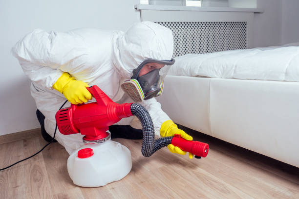 Best Flea Control Services  in Bushland, TX
