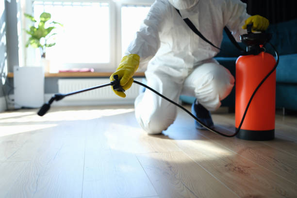 Trusted Bushland, TX Pest Control Experts