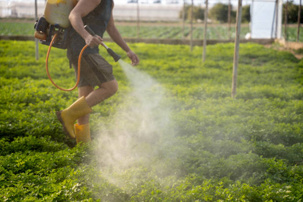 Best Commercial Pest Control Services  in Bushland, TX