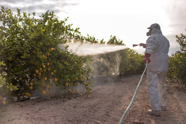 Best Cockroach Control Services  in Bushland, TX