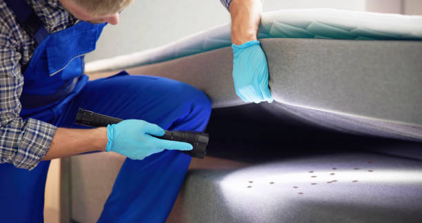 Best Affordable Pest Control Services  in Bushland, TX