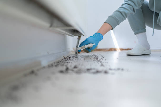  Bushland, TX Pest Control Pros